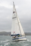 halley 2932c whyw25 fri 800_7520
